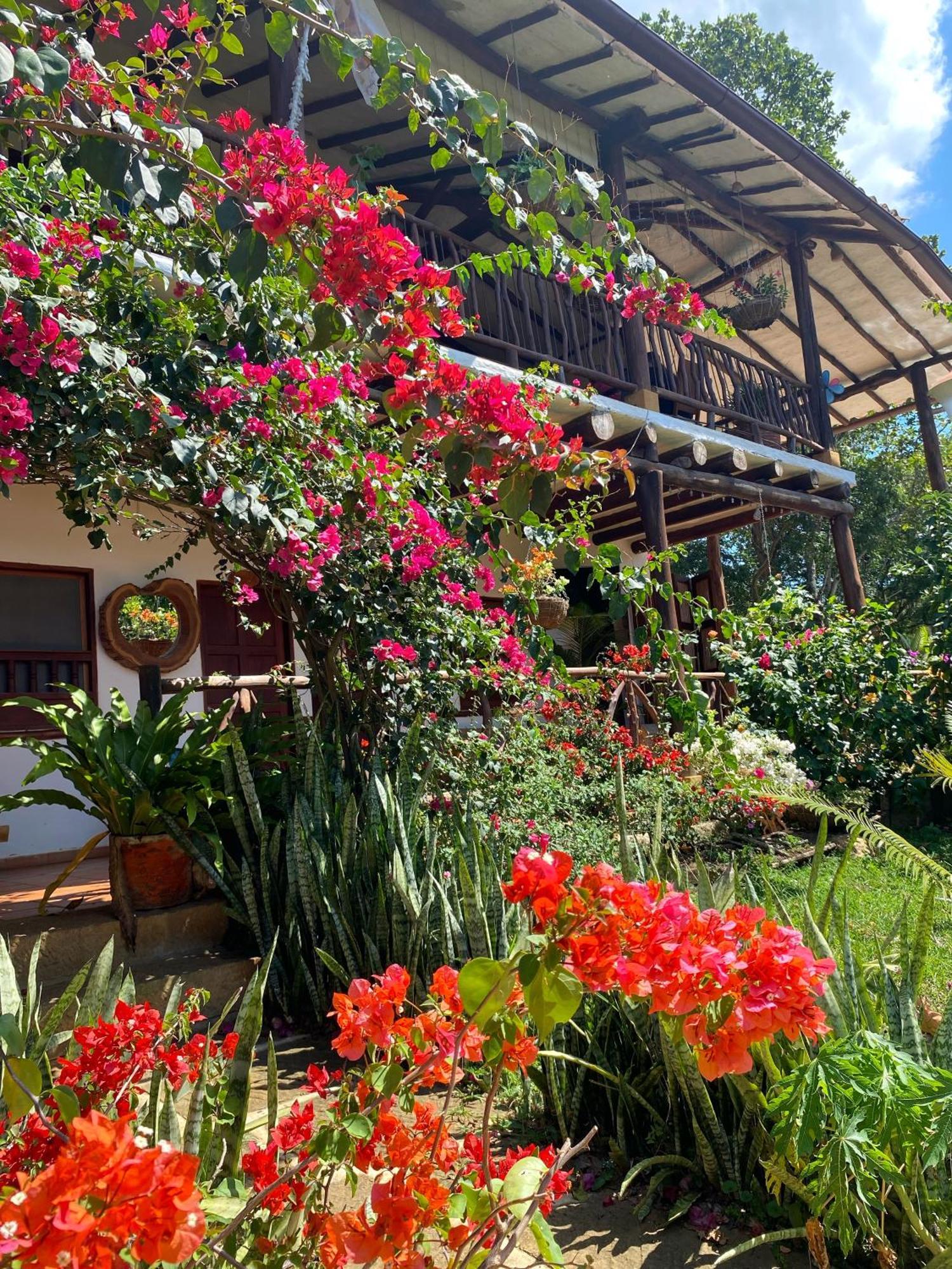 Hostal Villa San Rafael باريكارا المظهر الخارجي الصورة